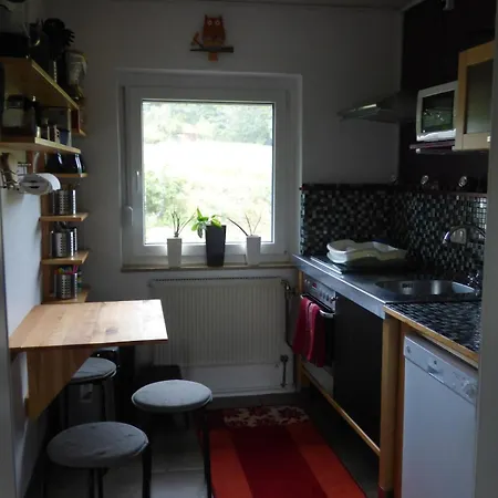 Waldblick Schoenbronn Appartement Buch am Wald